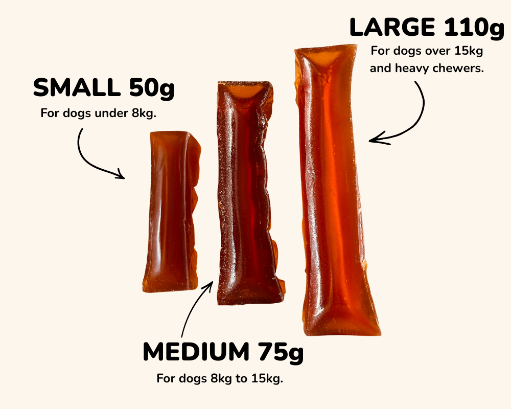 Pumpkin Collagen Dog Chew size reference